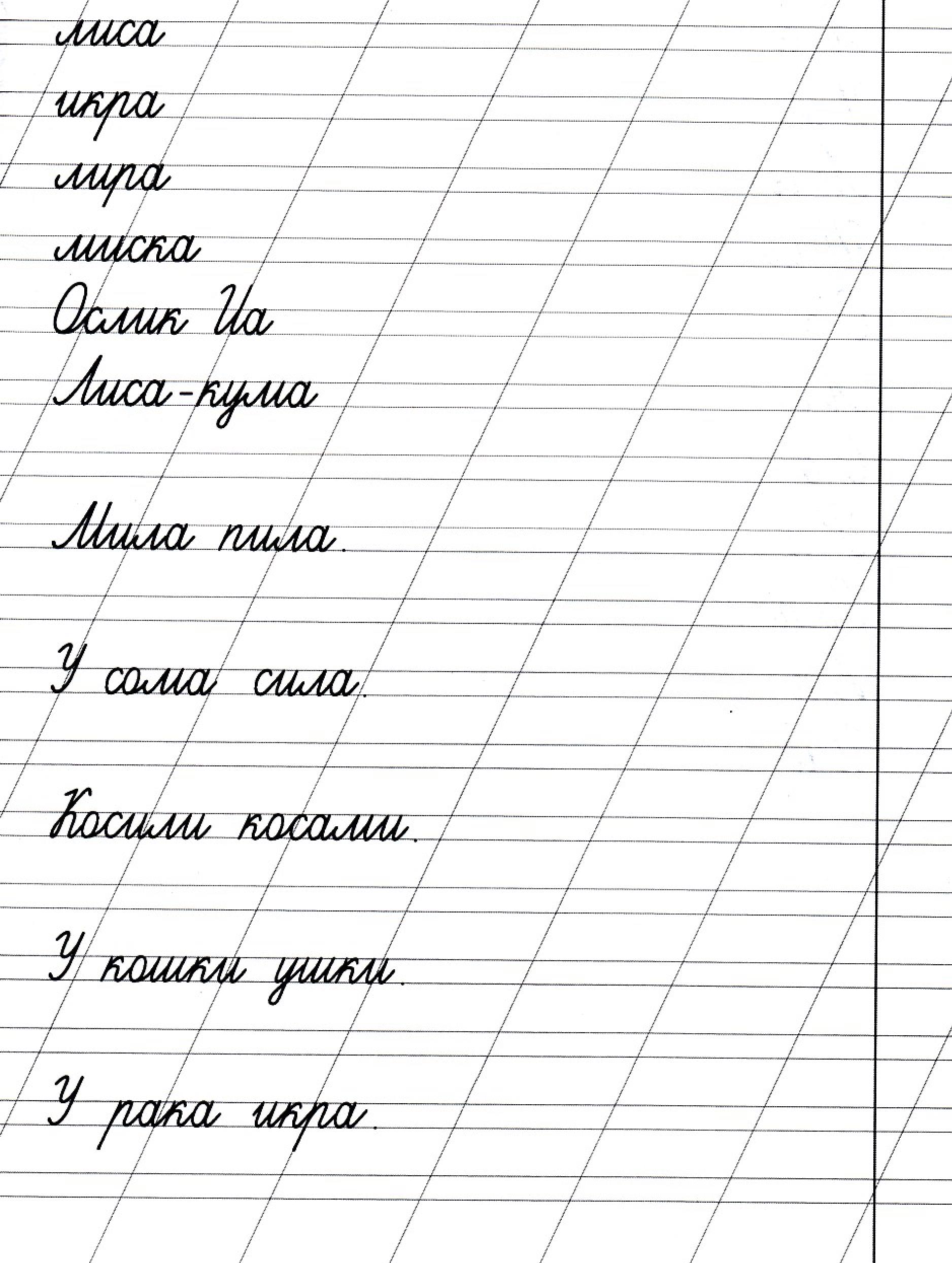 Прописи слова и предложения - распечатать для детей, скачать бесплатно  ✏child-class.org|