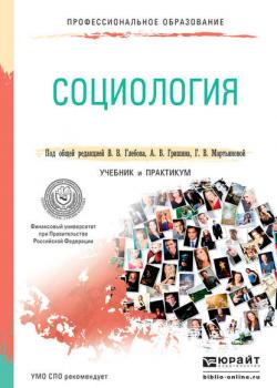 Социология. Учебник и практикум для СПО - Владимир Викторович Лабекин - скачать бесплатно