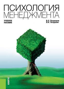 Психология менеджмента - Валентин Петрушин - скачать бесплатно