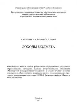 Доходы бюджета - А. М. Балтина - скачать бесплатно