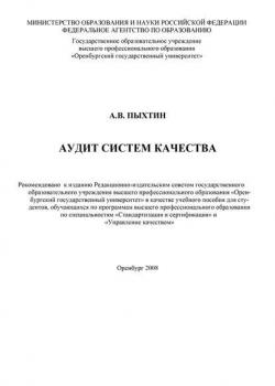 Аудит систем качества - А. В. Пыхтин - скачать бесплатно