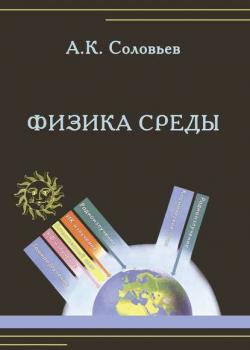 Физика среды - А. К. Соловьев - скачать бесплатно