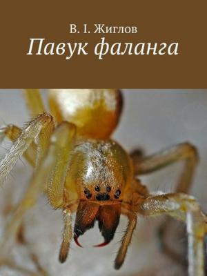 Павук фаланга - В. И. Жиглов - скачать бесплатно