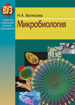 Микробиология - Наталья Белясова - скачать бесплатно
