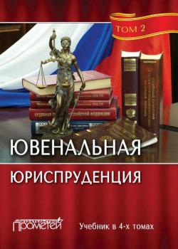 Ювенальная юриспруденция. Том 2 - Коллектив авторов - скачать бесплатно