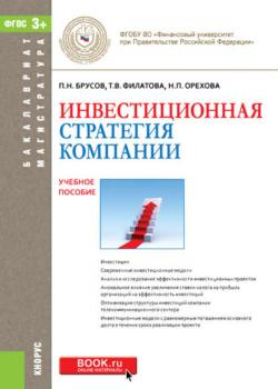 Инвестиционная стратегия компании - П. Н. Брусов - скачать бесплатно