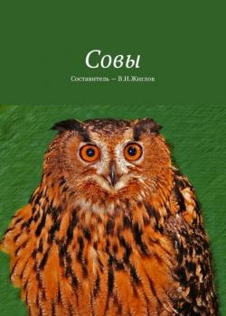 Совы - В. И. Жиглов - скачать бесплатно