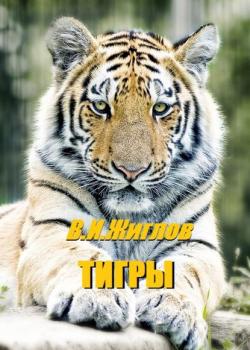 Тигры - В. И. Жиглов - скачать бесплатно