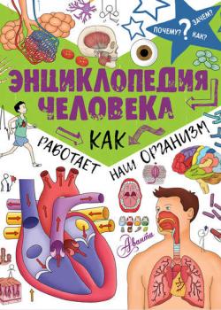 Энциклопедия человека. Как работает наш организм - Коллектив авторов - скачать бесплатно