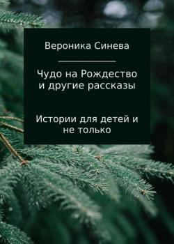 Чудо на Рождество и другие рассказы - Вероника Дмитриевна Синева - скачать бесплатно