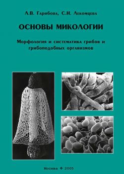 Основы микологии. Морфология и систематика грибов и грибоподобных организмов - Л. В. Гарибова - скачать бесплатно