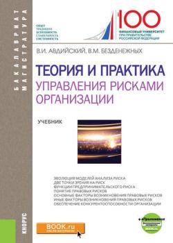 Теория и практика управления рисками организации - Вячеслав Безденежных - скачать бесплатно