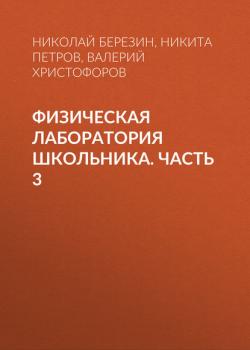Физическая лаборатория школьника. Часть 3 - Николай Березин - скачать бесплатно