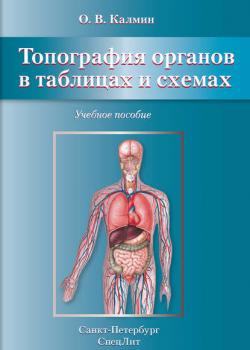 Топография органов в таблицах и схемах. Учебное пособие - О. В. Калмин - скачать бесплатно