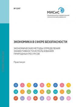 Экономика в сфере безопасности. Экономические методы определения эффективности использования природных ресурсов. Практикум - Л. А. Колесникова - скачать бесплатно