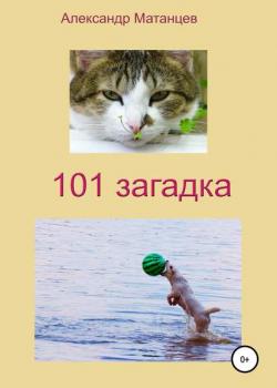 101 загадка - Александр Матанцев - скачать бесплатно