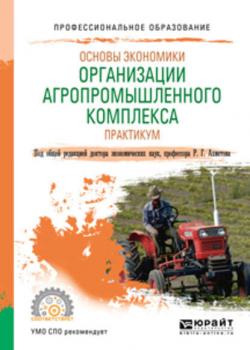 Основы экономики организации агропромышленного комплекса. Практикум. Учебное пособие для СПО - Равиль Галимзянович Ахметов - скачать бесплатно
