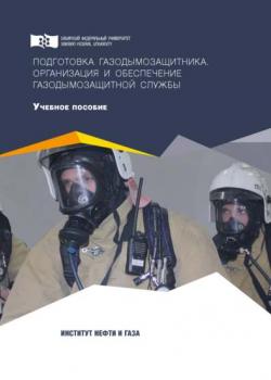 Подготовка газодымозащитника. Организация и обеспечение газодымозащитной службы - Андрей Минкин - скачать бесплатно