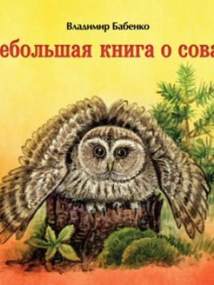 Небольшая книга о совах - В. Г. Бабенко - скачать бесплатно