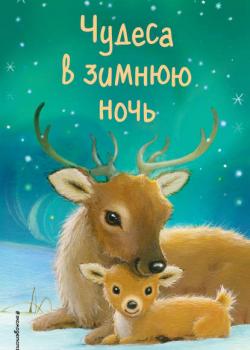 Чудеса в зимнюю ночь - Нариндер Дхами - скачать бесплатно