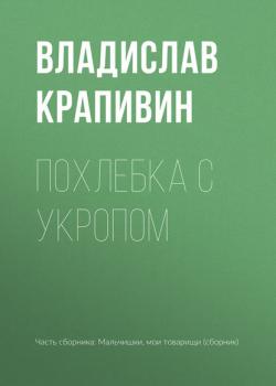 Похлебка с укропом - Владислав Крапивин - скачать бесплатно