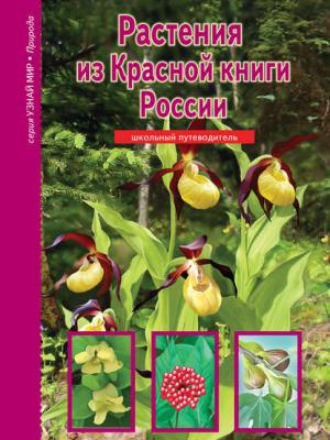 Растения из Красной книги России - Сергей Афонькин - скачать бесплатно