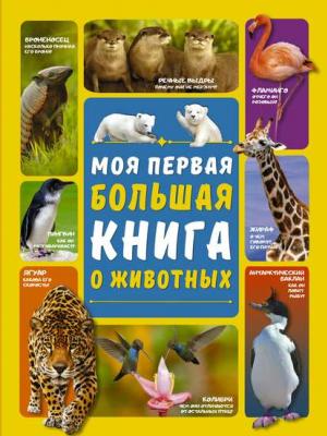 Моя первая большая книга о животных - Д. И. Ермакович - скачать бесплатно