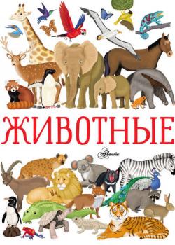 Животные - Илария Барсотти - скачать бесплатно