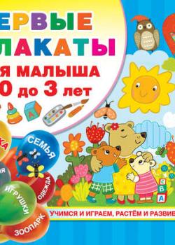 Первые плакаты для малыша от 0 до 3 лет - Группа авторов - скачать бесплатно