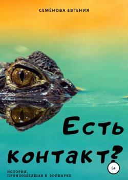 Есть контакт? - Евгения Семёнова - скачать бесплатно