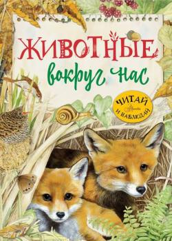 Животные вокруг нас - Ренцо Барсотти - скачать бесплатно
