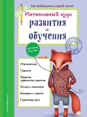 Интенсивный курс развития и обучения для детей 5-6 лет - Алла Волох - скачать бесплатно