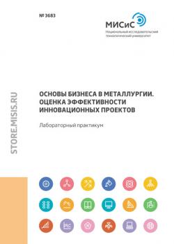 Основы бизнеса в металлургии. Оценка эффективности инновационных проектов - Александр Семин - скачать бесплатно