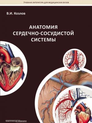 Анатомия сердечно-сосудистой системы - В. И. Козлов - скачать бесплатно