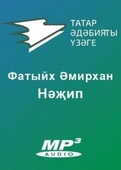 Аудиокнига Нәжип (Әмирхан Фатих) - скачать бесплатно