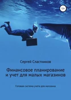 Финансовый учет и планирование для малого магазина - Сергей Сластников - скачать бесплатно