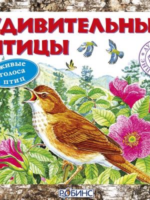 Удивительные птицы - Книги для дошкольников - скачать бесплатно