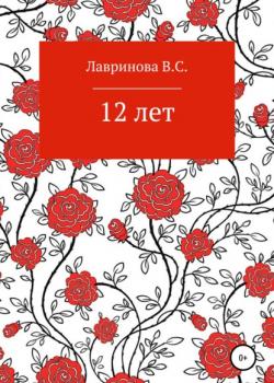 12 лет - Василиса Сергеевна Лавринова - скачать бесплатно