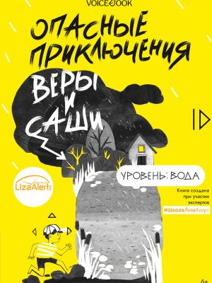 Опасные приключения Веры и Саши. Уровень: Вода - Юлия Иванова - скачать бесплатно