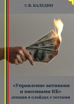 «Управление активами и пассивами КБ» лекция в слайдах с тестами - Сергей Каледин - скачать бесплатно