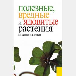 Морозко - Василий Авенариус - скачать бесплатно