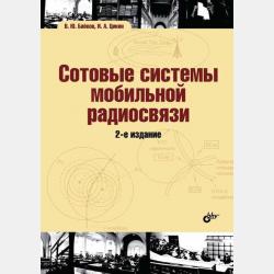 Конституционное право зарубежных стран 4-е изд., пер. и доп. Учебник для академического бакалавриата - Галина Николаевна Комкова - скачать бесплатно