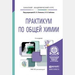 Лето в Дедморозовке - Андрей Усачев - скачать бесплатно