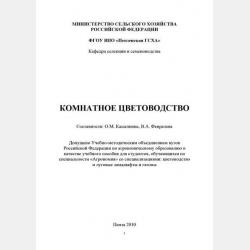 Тим в волшебной стране - Игорь Федоров - скачать бесплатно