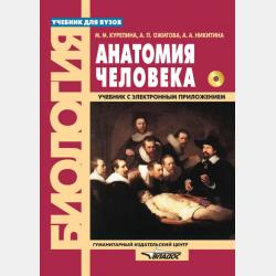 Возрастная анатомия и физиология в 2 т. Т. 2 опорно-двигательная и висцеральные системы 2-е изд., пер. и доп. Учебник для академического бакалавриата - А. А. Никитина - скачать бесплатно