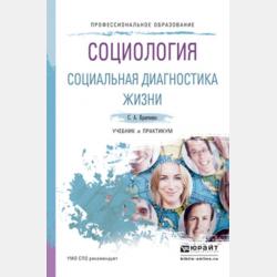 Социология в 2 т. Т. 2. Новые и новейшие социологические теории через призму социологического воображения. Учебник для академического бакалавриата - Сергей Александрович Кравченко - скачать бесплатно