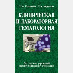 Общественно-научные предметы. Школа волонтера. 5-7 классы - А. В. Коршунов - скачать бесплатно