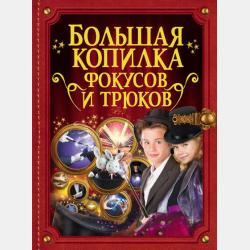 Копилка тайн для маленьких принцесс - В. А. Ригарович - скачать бесплатно