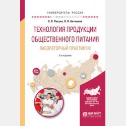 Психическая травма. Социально-психологическое сопровождение и предотвращение рецидивов 2-е изд., пер. и доп. Учебное пособие для вузов - Любовь Владимировна Мищенко - скачать бесплатно