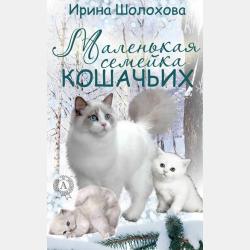 Осколки детства - Мария Александровна Хаустова - скачать бесплатно